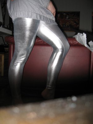 silverlame.JPG